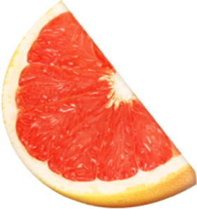 Grapefruit PNG-15261